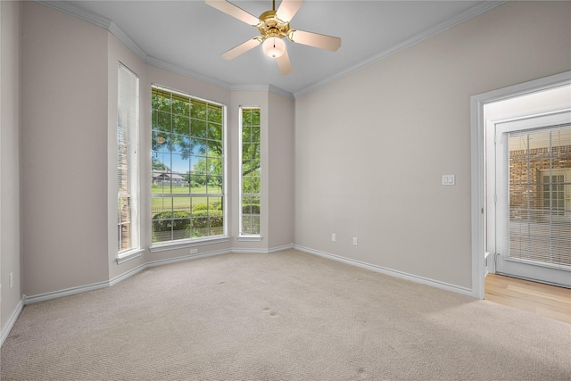 934 Hills Creek Dr, Mckinney, TX 75072 - carpeted spare room with healthy amount of natural light, crown molding, baseboards, and ceiling fan
