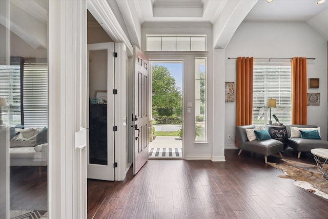 10601 Los Rios Dr, Fort Worth, TX 76179 - entryway with dark wood-type flooring, crown molding, and vaulted ceiling
