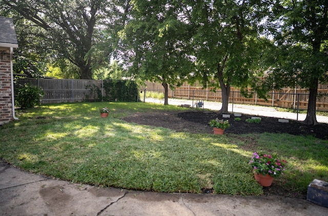 710 Melrose Dr, Richardson, TX 75080 - view of yard