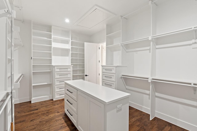 2012 Honey Ln, Celina, TX 75009 - walk in closet with attic access and dark wood-type flooring