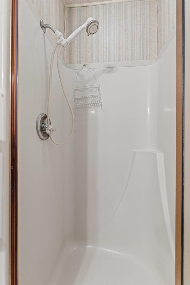 4611 Francis Ct, Granbury, TX 76049 - full bathroom with a shower