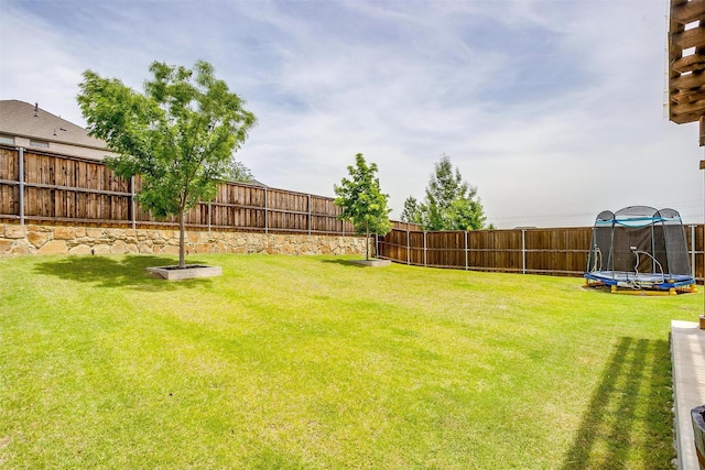 view of yard featuring a trampoline