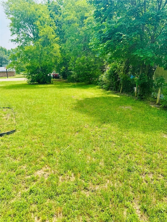900 Boyd Ave, Lindale, TX 75701 - view of yard