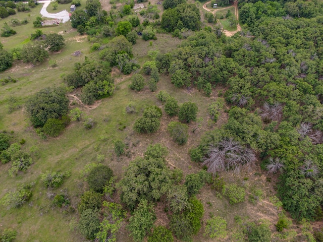 157 Hcr 1217, Blum, TX 76627