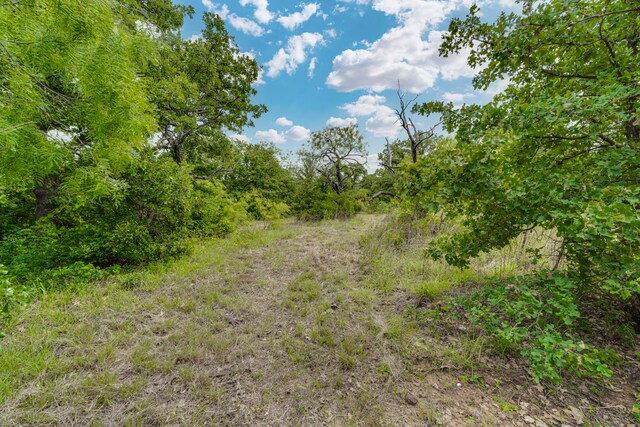 157 Hcr 1217, Blum, TX 76627