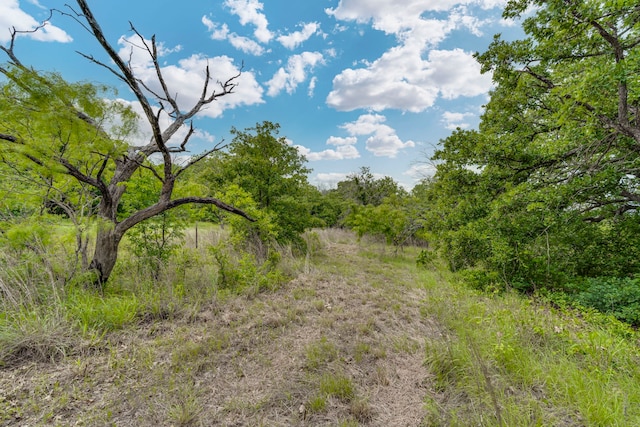 157 Hcr 1217, Blum, TX 76627