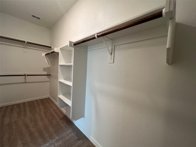 409 Petty Way, Fate, TX 75189 - walk in closet with carpet
