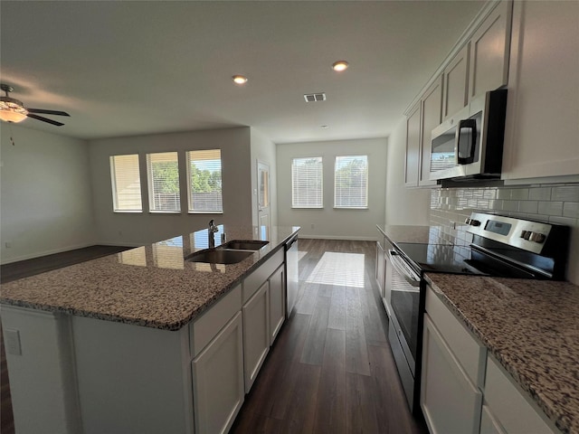 409 Petty Way, Fate, TX 75189 - kitchen featuring stainless steel appliances, a sink, open floor plan, dark wood-type flooring, and recessed lighting