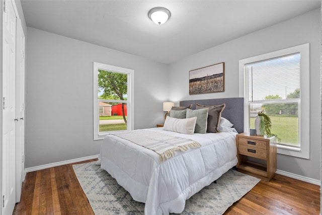 bedroom with multiple windows, baseboards, and wood-type flooring
