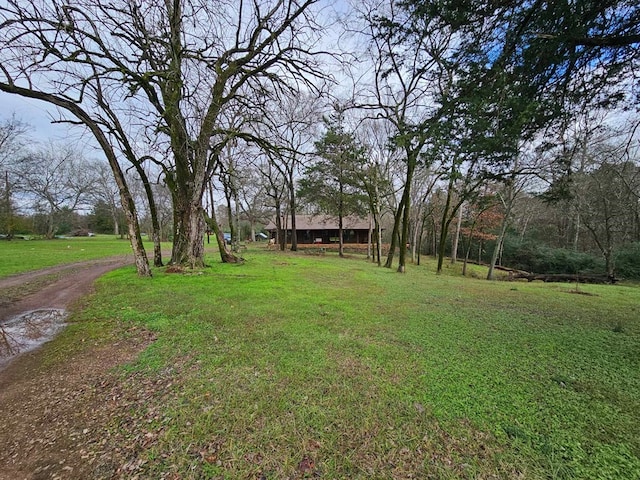 2488 Fm 2138 N, Jacksonville, TX 75766 - view of green lawn