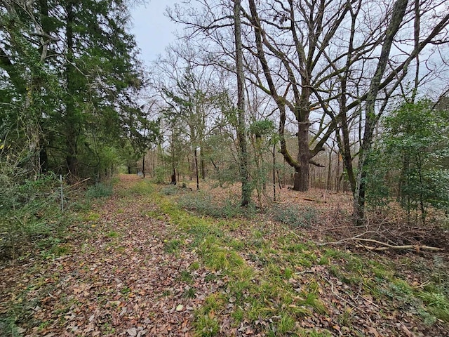 2488 Fm 2138 N, Jacksonville, TX 75766 - view of tree filled area