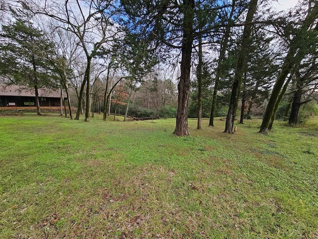 2488 Fm 2138 N, Jacksonville, TX 75766 - view of grassy yard
