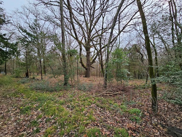 2488 Fm 2138 N, Jacksonville, TX 75766 - view of wooded area