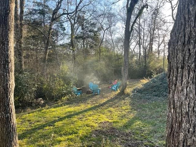 2488 Fm 2138 N, Jacksonville, TX 75766 - view of yard featuring a view of trees