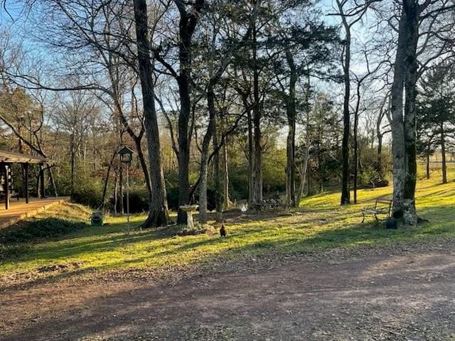2488 Fm 2138 N, Jacksonville, TX 75766 - view of property's community