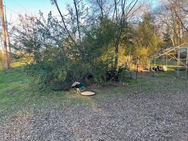2488 Fm 2138 N, Jacksonville, TX 75766 - view of yard