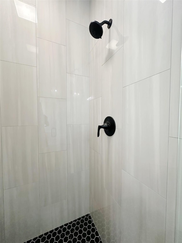 6710 Windmill Grass Ln, Abilene, TX 79606 - bathroom view of tiled shower