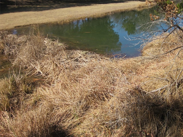 TBD Fm, Tuscola, TX 79562