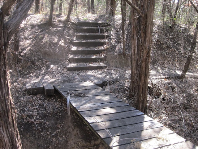 TBD Fm, Tuscola, TX 79562
