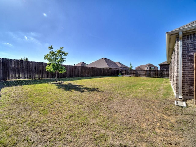 3519 Tunnel Ave, Aubrey, TX 76227 - view of yard