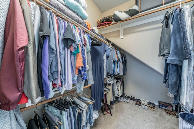6606 Morning Dew Dr, Midlothian, TX 76065 - spacious closet with carpet flooring