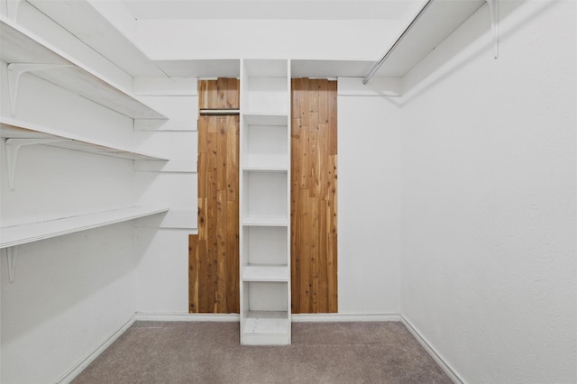 815 Middle Run, Duncanville, TX 75137 - walk in closet with carpet flooring