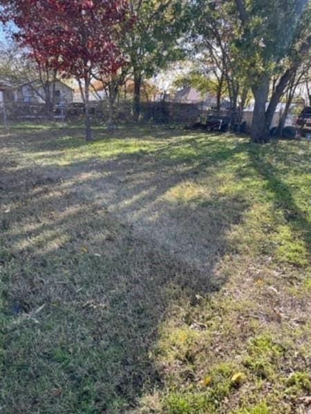 522 Helena St, Dallas, TX 75217 - view of yard