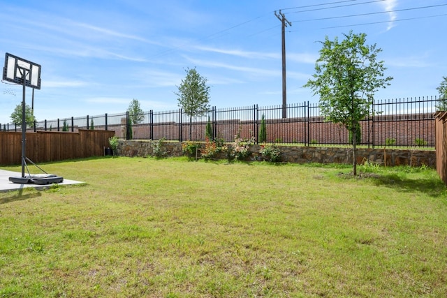 2229 Boboli Ct, Celina, TX 75009 - view of yard