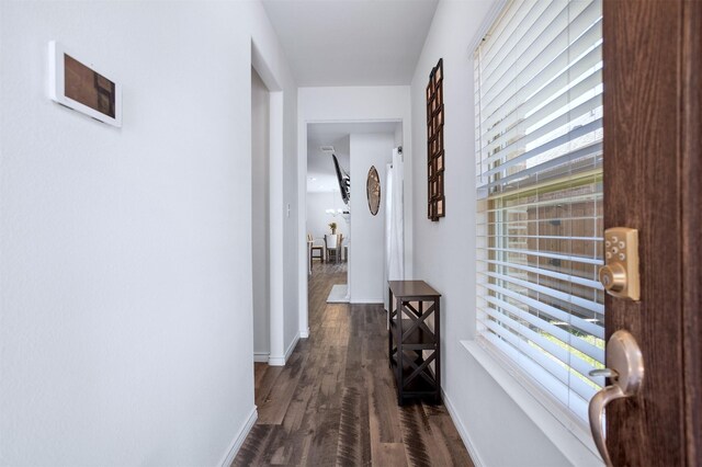 2619 Pinckney Ct, Forney, TX 75126 - hall with baseboards and dark wood-style flooring