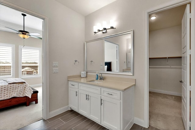 2517 Plum Tree Way, Mckinney, TX 75071 - bathroom featuring ceiling fan, baseboards, vanity, and wood finished floors