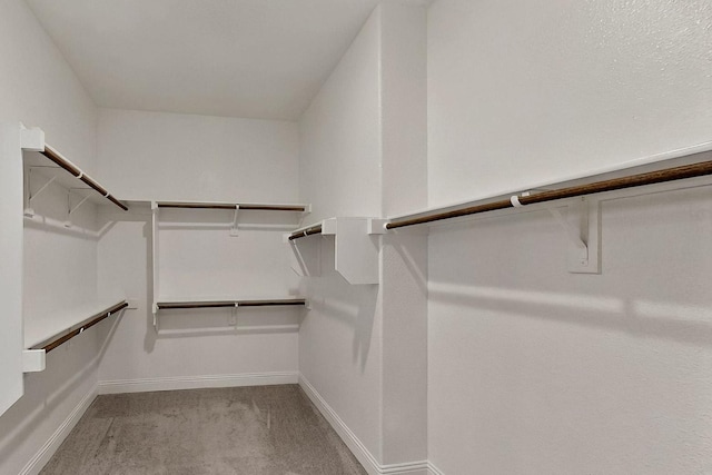 2517 Plum Tree Way, Mckinney, TX 75071 - walk in closet featuring carpet