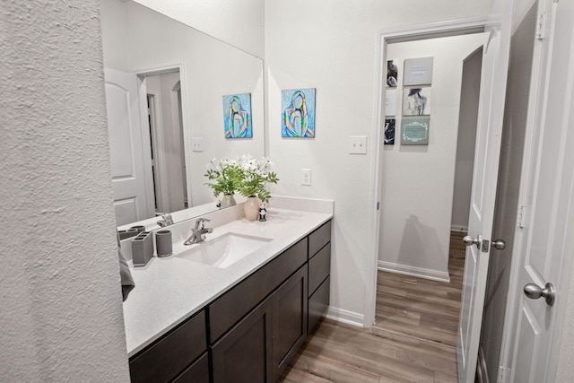 8213 Smokey Creek Pass, Fort Worth, TX 76179 - bathroom featuring wood finished floors, vanity, baseboards, and a textured wall