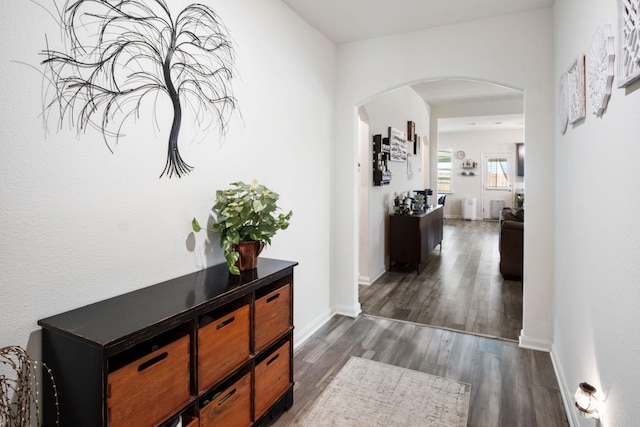 8213 Smokey Creek Pass, Fort Worth, TX 76179 - corridor featuring arched walkways, dark wood-style floors, and baseboards