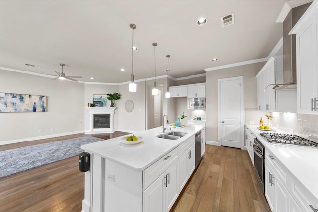1608 Coventry Ct, Farmers Branch, TX 75234 - kitchen with a sink, stainless steel appliances, light wood-style floors, recessed lighting, and ceiling fan