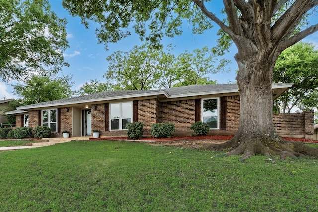 1305 Willow Way, Garland, TX 75043 - ranch-style house with a front lawn and brick siding