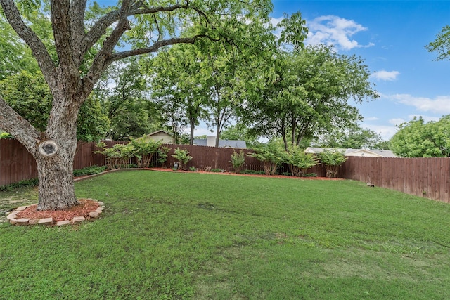1305 Willow Way, Garland, TX 75043 - view of yard