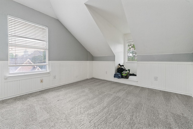 7804 Rampston Pl, Fort Worth, TX 76137 - bonus room featuring lofted ceiling, a wainscoted wall, healthy amount of natural light, and carpet floors