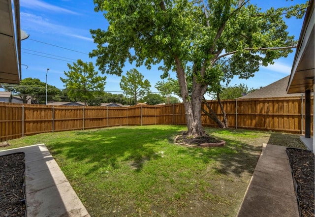 view of yard