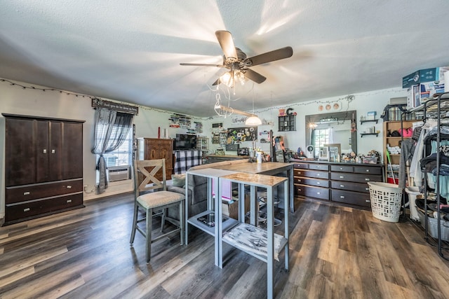 916 Rachelle Dr, Red Oak, TX 75154 - interior space with dark wood-type flooring, healthy amount of natural light, a ceiling fan, and a textured ceiling