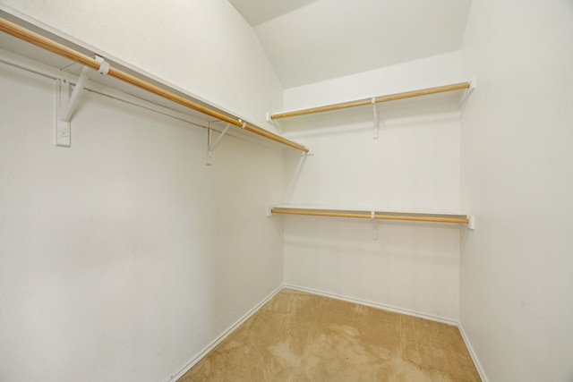 1403 Illinois Ave, Lancaster, TX 75134 - walk in closet featuring light carpet