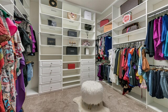 15606 Fox Meadow Ln, Frisco, TX 75035 - walk in closet with carpet