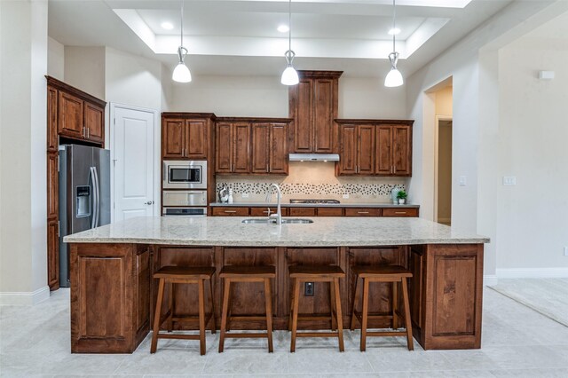 7908 Caddo Cv, Mckinney, TX 75071 - kitchen with stainless steel appliances, a tray ceiling, a sink, decorative backsplash, and under cabinet range hood