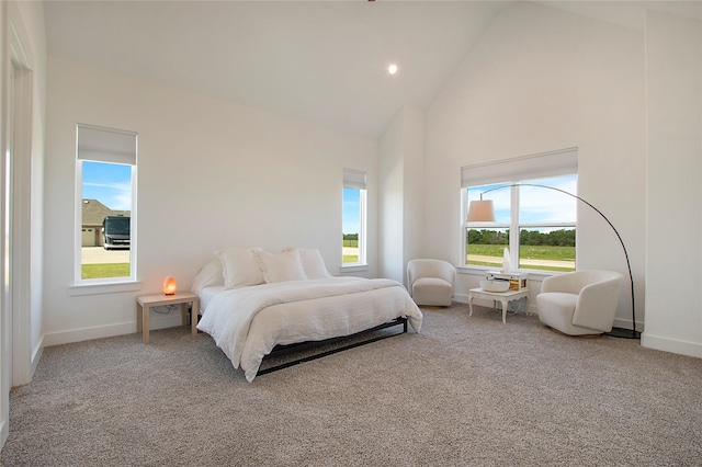 1339 Malone Dr, Royse City, TX 75189 - bedroom with carpet floors, high vaulted ceiling, and baseboards
