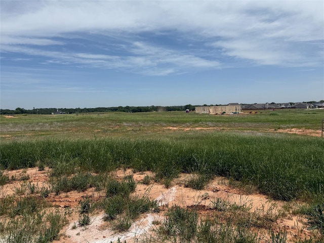 436 Guadalupe Trl, Springtown, TX 76087 - view of nature with rural landscape