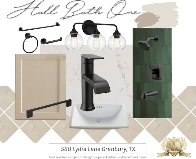 580 Lydia Ln, Granbury, TX 76049 - view of miscellaneous listing collateral