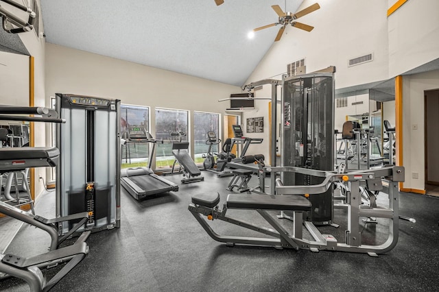 4242 N Capistrano Dr Unit 174, Dallas, TX 75287 - gym featuring a ceiling fan and high vaulted ceiling