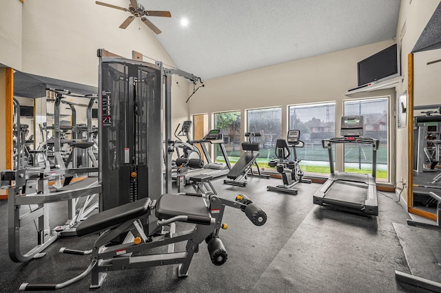 4242 N Capistrano Dr Unit 174, Dallas, TX 75287 - workout area featuring high vaulted ceiling and a ceiling fan