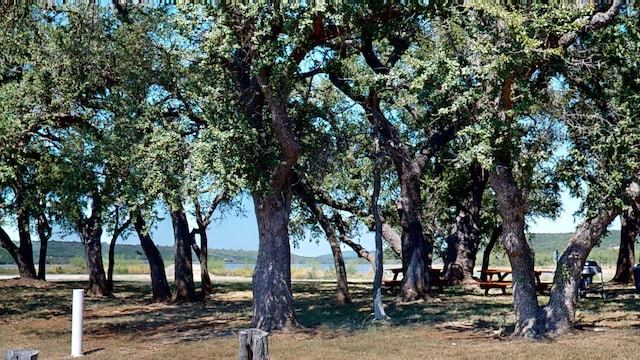 LOT451 Canyon Wren Loop, Graford, TX 76449
