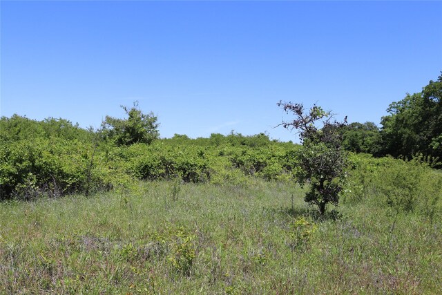 120ACRES Deer Creek Rd, Henrietta, TX 76365