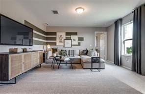 254 Lake Erie Dr, Princeton, TX 75407 - living area featuring carpet flooring